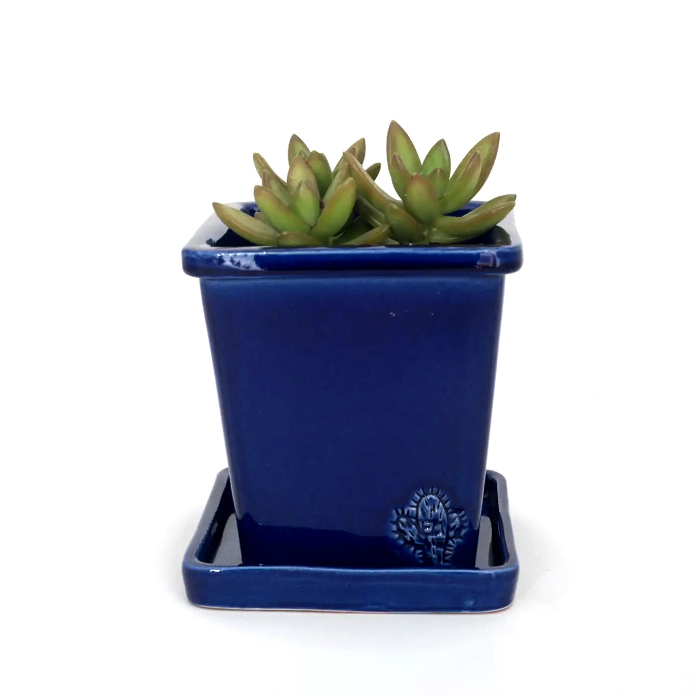 Handcrafted Square Glazed Terracotta Pot - 14cm EM Navy 