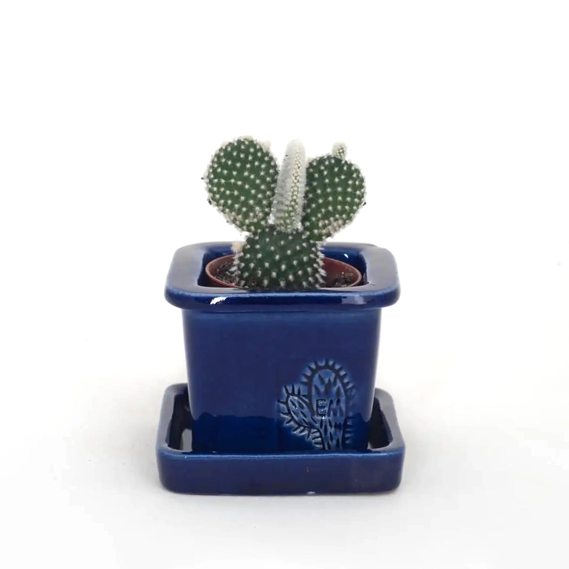 Handcrafted Square Glazed Terracotta Pot - 6cm EM Navy 